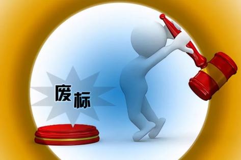 投标报价合理性论证_低于最低工资标准报价_招标废标的情况有哪些