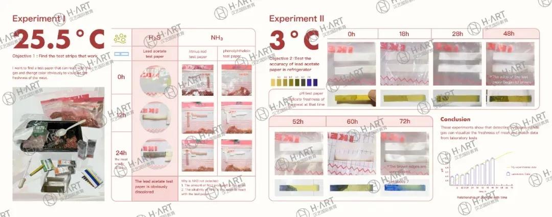 留学比较便宜的国家_荷兰设计留学费用_北欧艺术硕士性价比