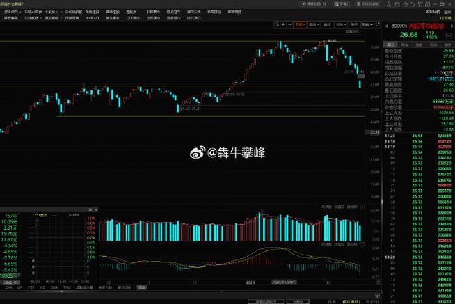 主力资金流向分析_2026筹码最集中的股票_筹码分布分析