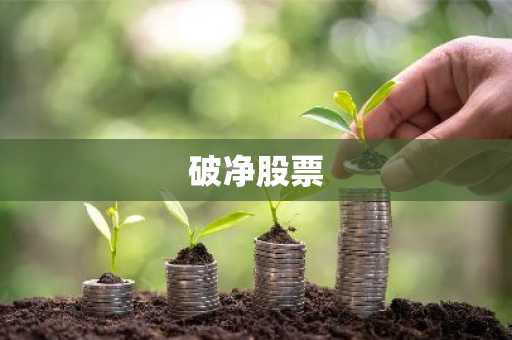 股票破净资产_破净股票定义成因投资优势风险_价值投资破净股分析