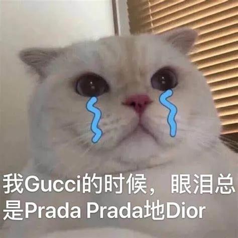 Offer鄙视链_留学鄙视链_留学比较便宜的国家