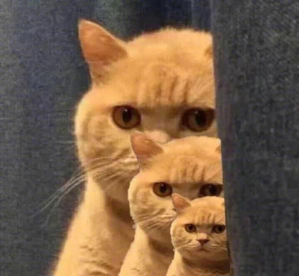 留学鄙视链_Offer鄙视链_留学比较便宜的国家