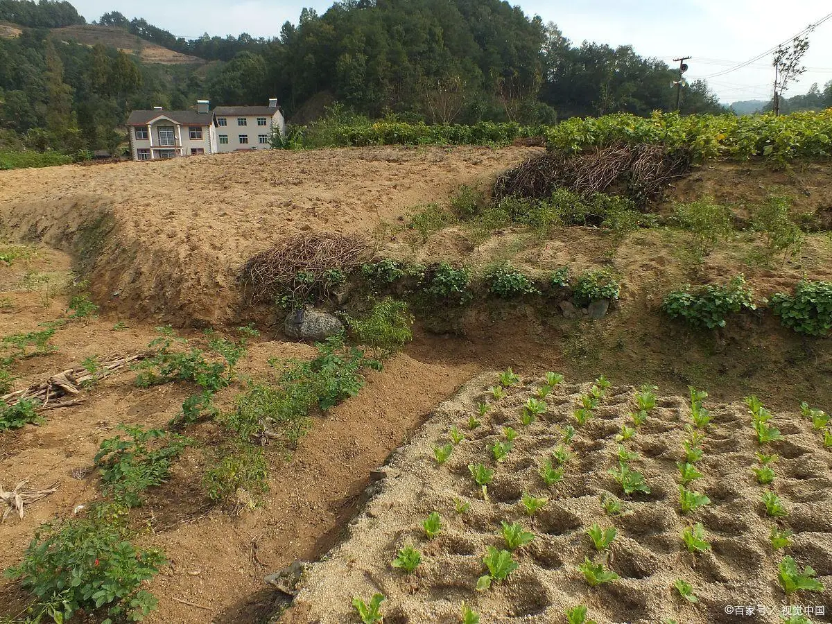 第二轮土地承包到期怎么办_农村土地承包期限三十年_2028年非农承包集体地到期后