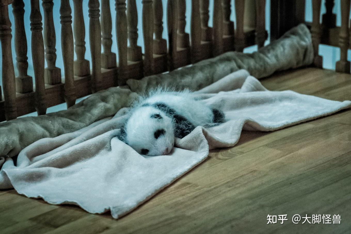 成都美食攻略_成都重庆旅游攻略_成都10年房价走势图