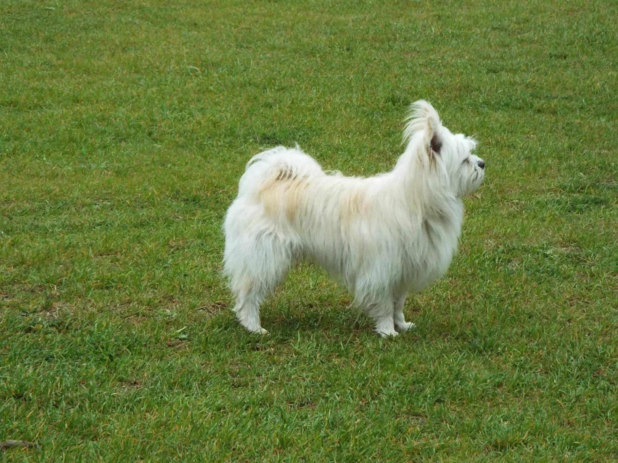 O2O平台大众点评百度地图_b2c商务模式中盈利空间最大的是_O2O模式在线支付