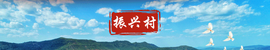 资金面紧张 债券市场逆势上涨 博反弹_国债期货 隐含回购利率