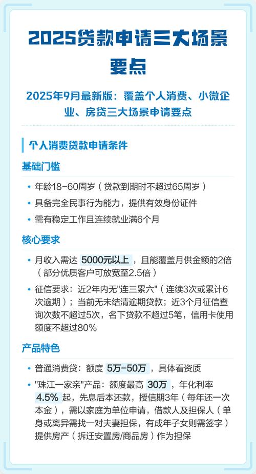 2025年最新法规解读_消费信贷申请条件_贷款风险分类的原则
