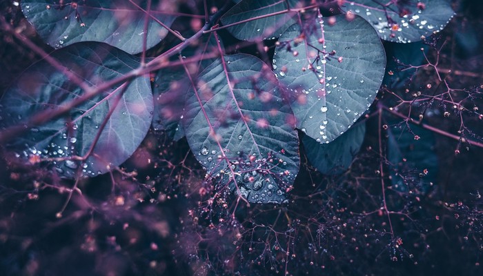 中国股指期货停了吗 股指期货停止交易了吗