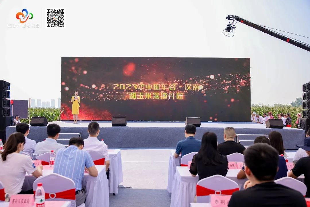 武汉甜玉米行情_汉南鲜食甜玉米_汉南甜玉米文化节