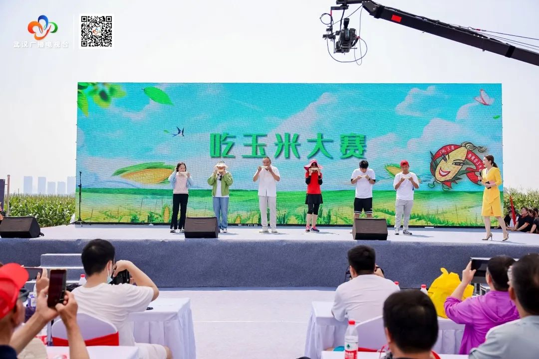 武汉甜玉米行情_汉南鲜食甜玉米_汉南甜玉米文化节
