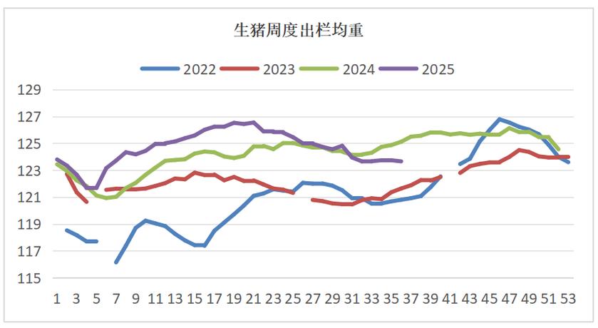 猪价上涨能持续吗_猪价行情_玉米“火箭”上涨后市行情