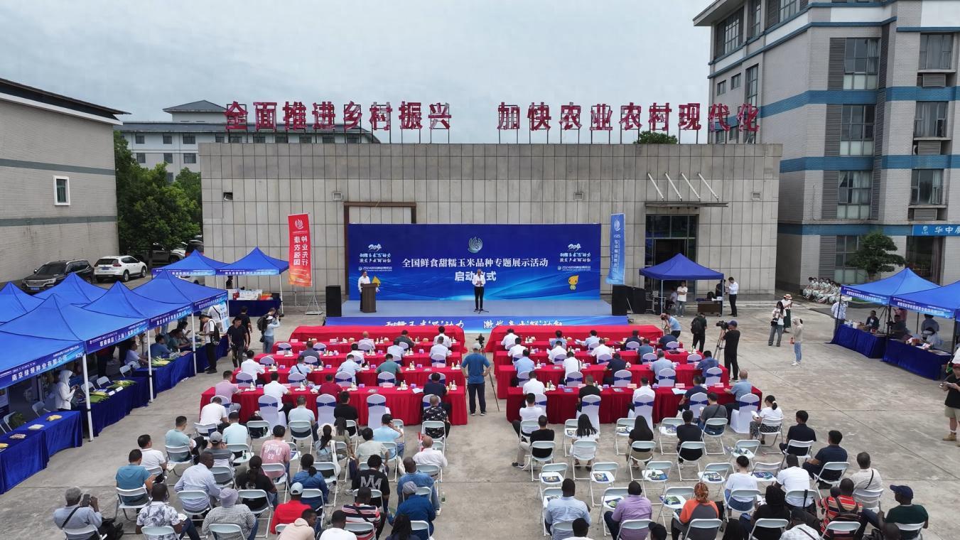湖北省现代农业展示中心 鲜食甜糯玉米专家推荐品种名单_武汉甜玉米行情_2024武汉种业博览会 鲜食甜糯玉米品种专题展示活动