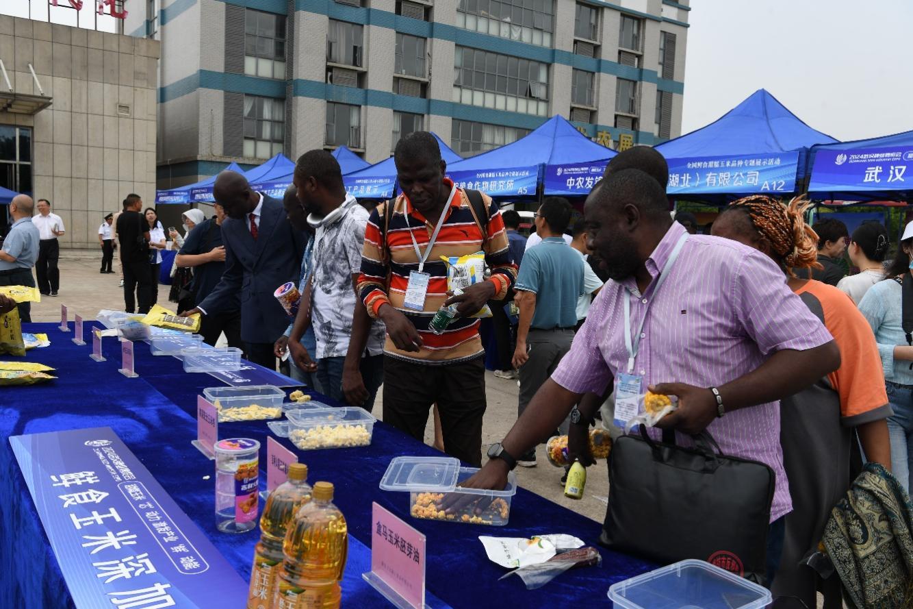 2024武汉种业博览会 鲜食甜糯玉米品种专题展示活动_湖北省现代农业展示中心 鲜食甜糯玉米专家推荐品种名单_武汉甜玉米行情